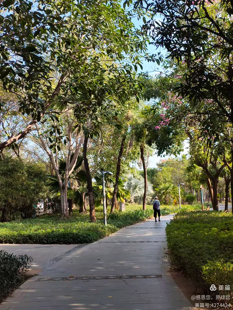 金鸡岭街桥头公园